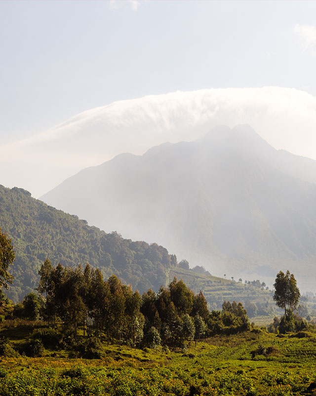 Mount Sabyinyo towering into the sky.