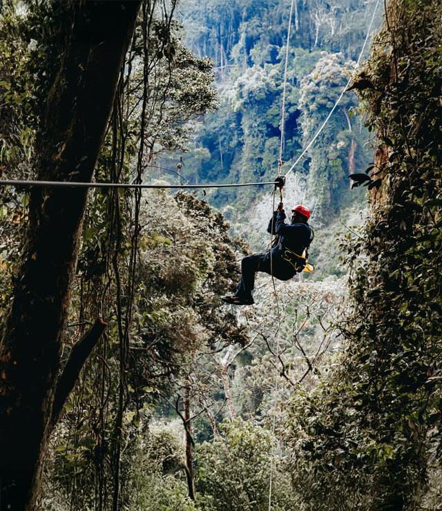 A person glides on a zipline high above a lush rainforest canopy.