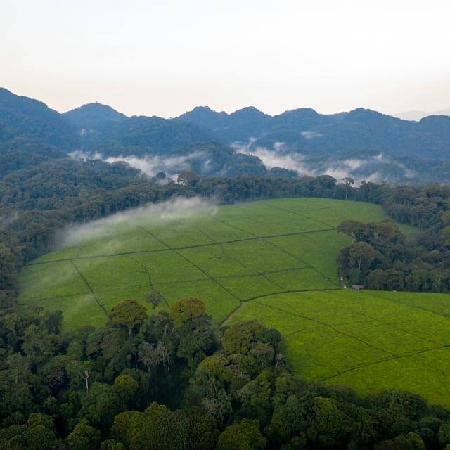 Zebras and antelope in the Akagera National Park